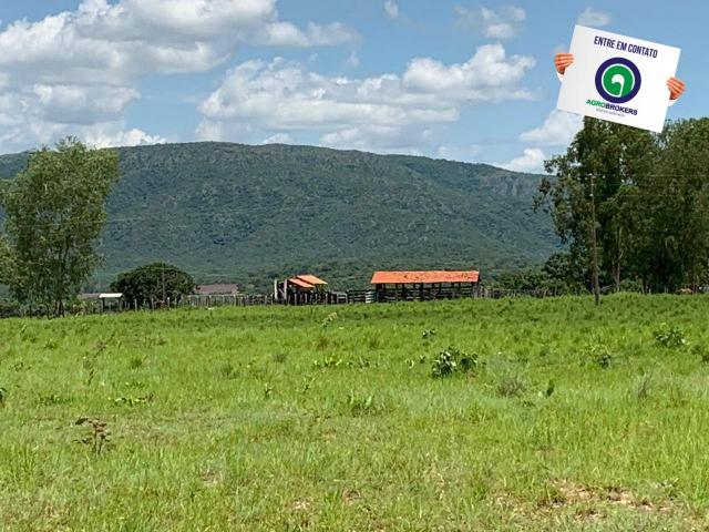 Fazenda 362,27ha acorizal - Foto 2