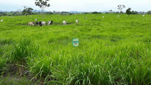 Itaju do Colônia. Fazenda pecuária de 1.200 Hectares - Foto 2