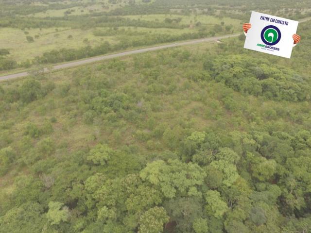 Fazenda 200 ha na beira do asfalto - Foto 10