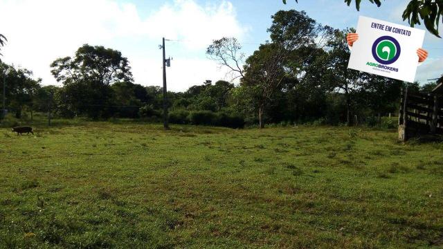 Fazenda na região livramento - Foto 10
