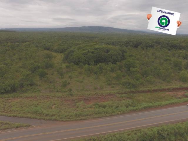 Fazenda 200 ha na beira do asfalto - Foto 8