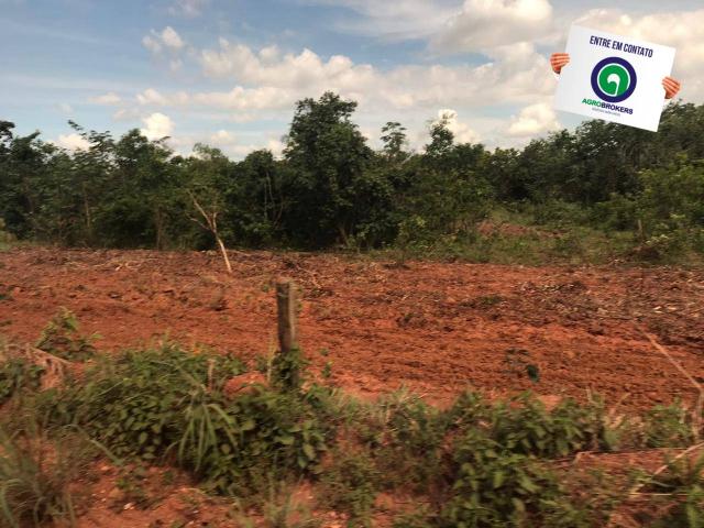 Fazenda 1400 ha na região de cáceres - Foto 6