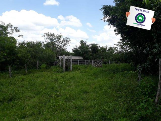 Sitio 22 ha livramento - Foto 4