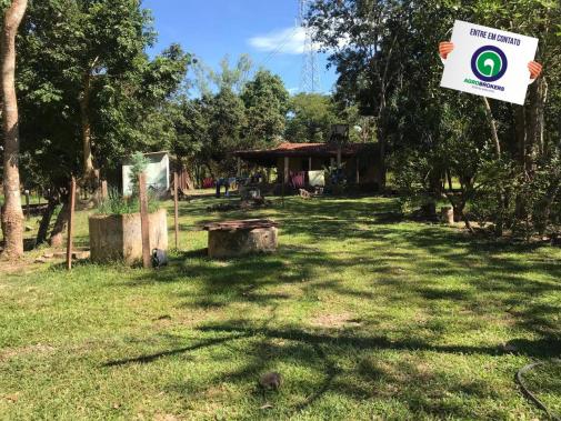 Sítio 28,7 ha no cinturão verde - Foto 2
