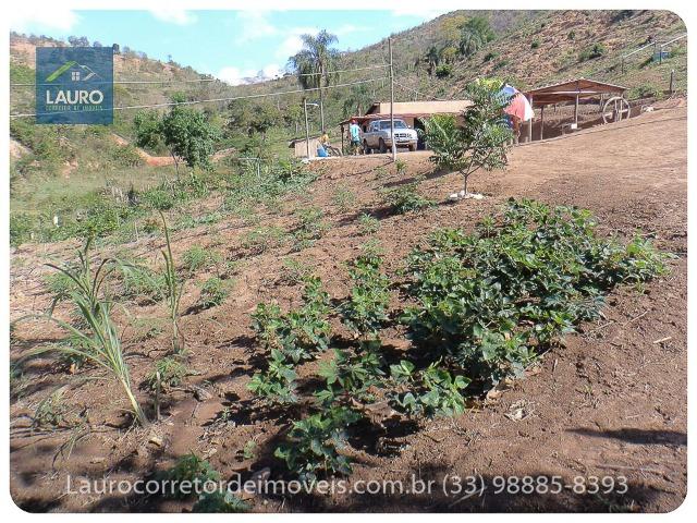 Sítio com 9 Alqueires a 30 km de T. Otoni - Foto 18