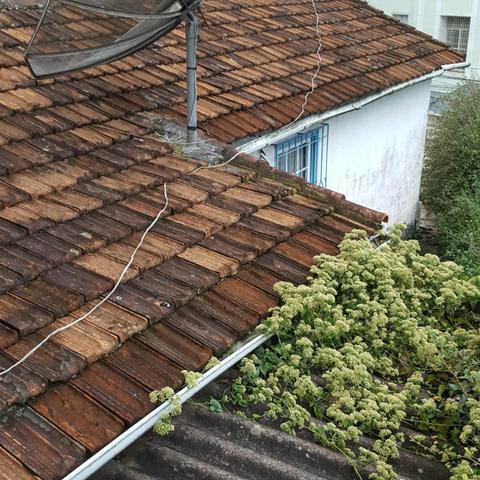Casa próximo as Duas Pontes - Foto 6