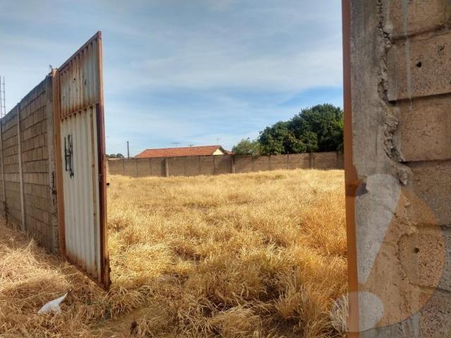 Terreno em Franca-Pq das Árvores - Foto 3