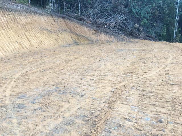 Sitio D.M Melgaçinho aproxi.4 mil metros Plator e tanque de peixe - Foto 5