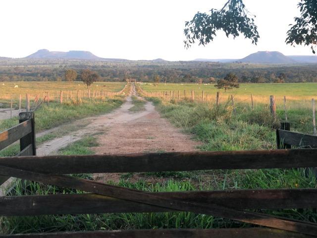 Nova Taquari MT Fazenda a 60 km da cidade com 2.480 hectares em pasto - Foto 2