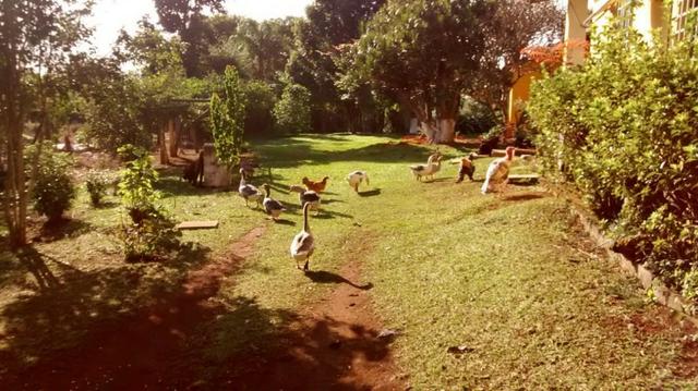 UltimaS UnidadeS! - Foto 3