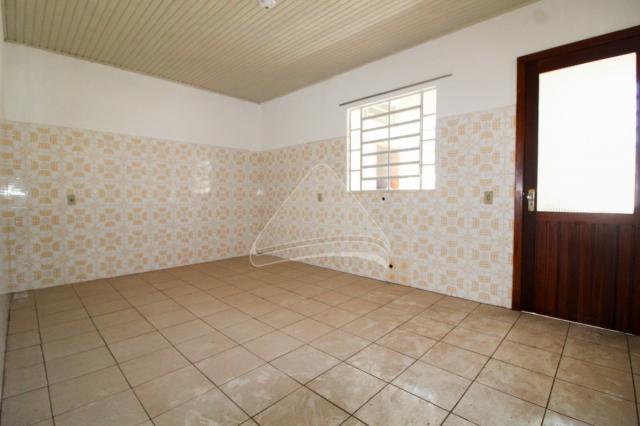 Apartamento para alugar com 3 dormitórios em Vila rodrigues, Passo fundo cod:13673 - Foto 3