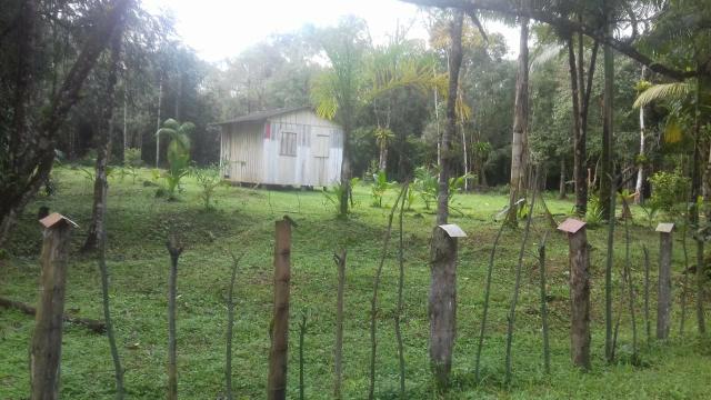 Chacrinha em Guaraqueçaba - Foto 4