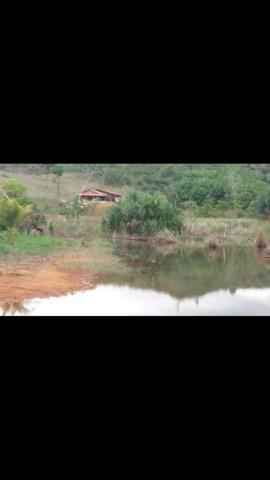 Vende-se uma chácara - Foto 15