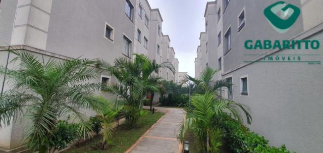 Apartamento para alugar com 2 dormitórios em Pinheirinho, Curitiba cod:00419.001 - Foto 2