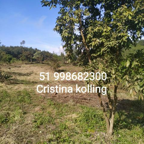 Troco chacrinha pelo seu veiculo