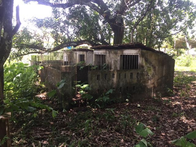 Sítio Marina Jaguari, PREÇO NEGOCIÁVEL - Foto 11