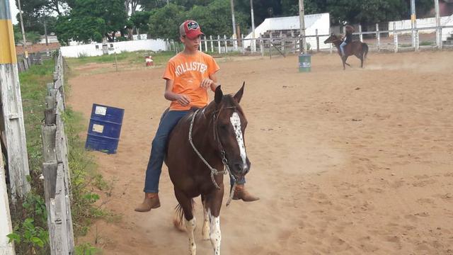 Vendo égua registrada PO - Foto 3