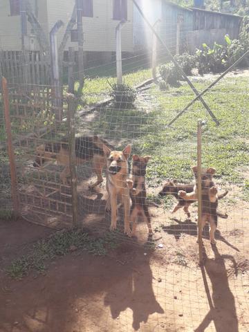 Vende-se