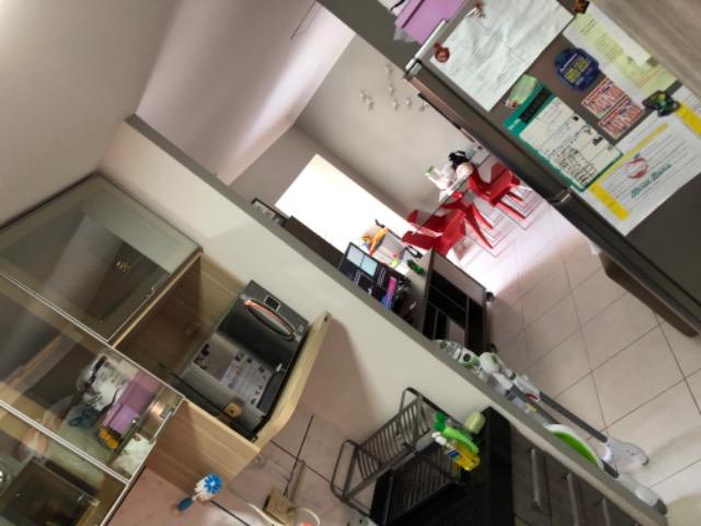 Lindo apt 2/4, aconchegante e jovial - Foto 4