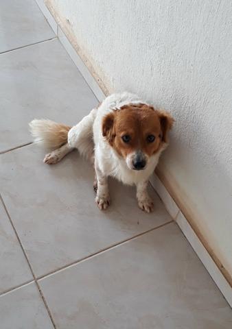 Urgente - Foto 3