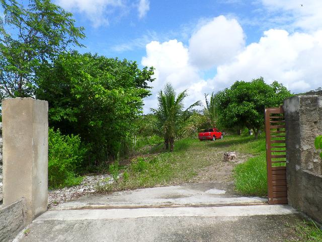 Granja no Conde - Foto 18