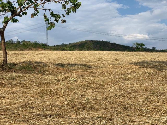 Chácara em Alexânia-GO. (Aceita Permuta) - Foto 8