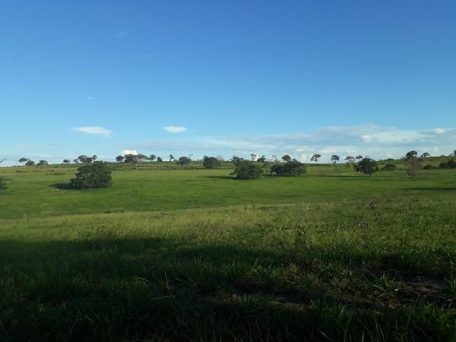 Fazenda Guiratinga MT 6.080 Ha - Foto 11