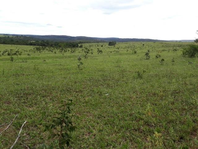 Fazenda Guiratinga MT 6.080 Ha - Foto 5