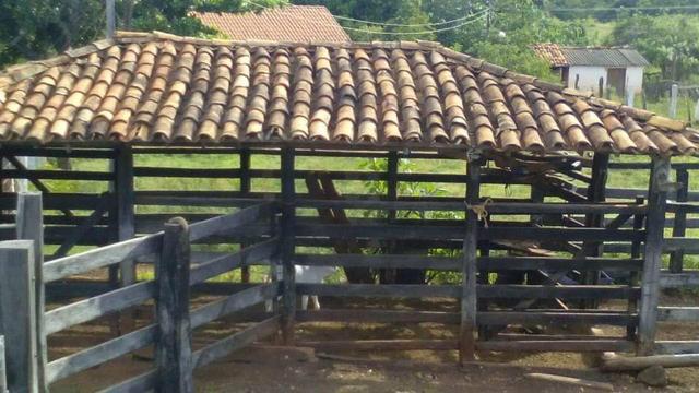 Fazenda Ribeirão - Foto 6