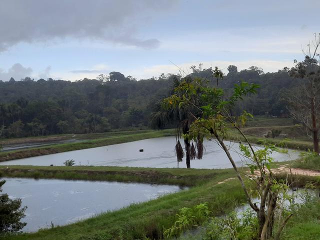 Vendo ou troco - Foto 14