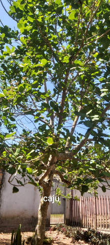 Vendo ou troco casa de campo - Foto 19
