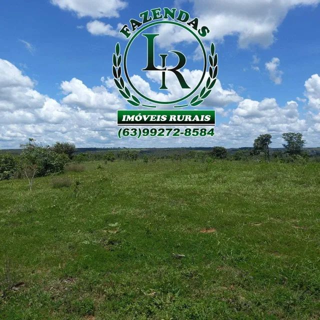 Fazenda 104 Alqueires Beirada Asfalto - Foto 3