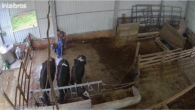 Sítio com Leitaria funcionando em Rebouças PR - Foto 4