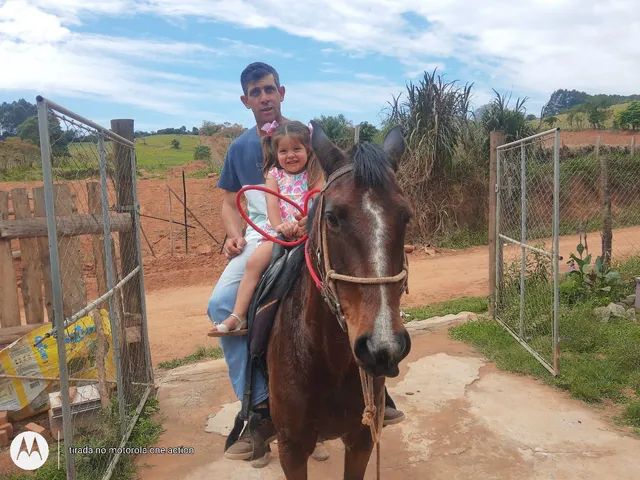 Vendo troco égua dócil  - Foto 6