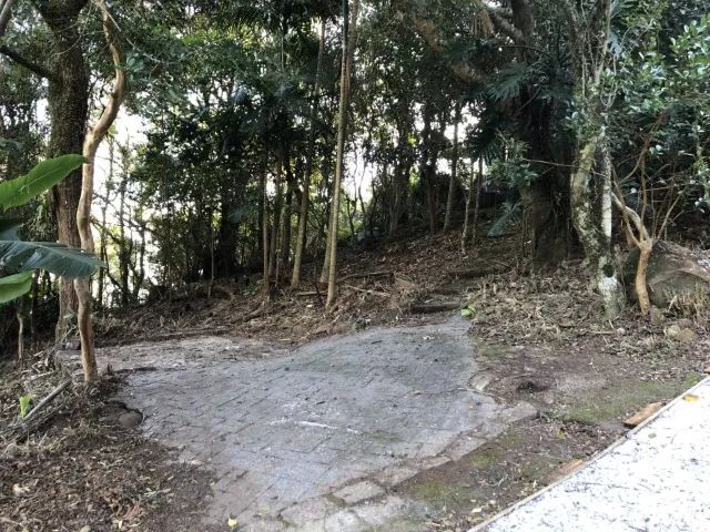 TERRENO RIBEIRÃO DA ILHA - Foto 4