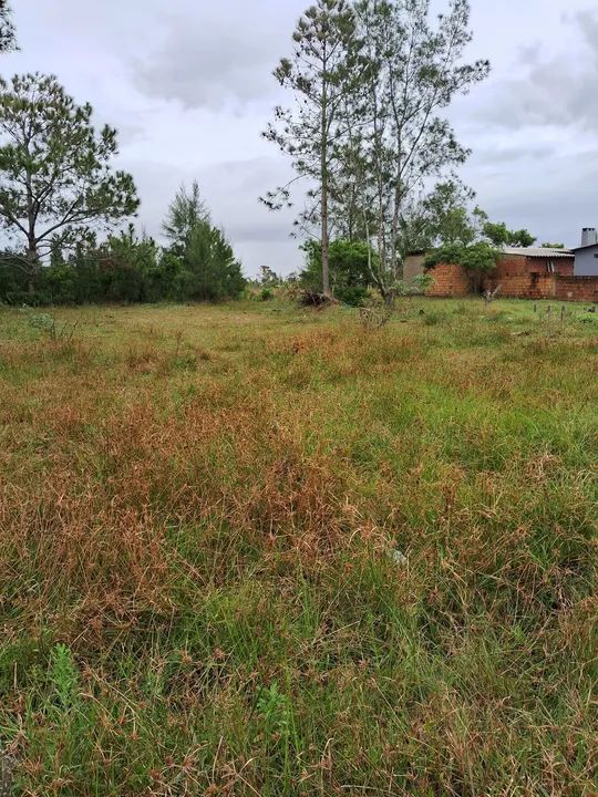 foto - São Leopoldo - Fazenda São Borja