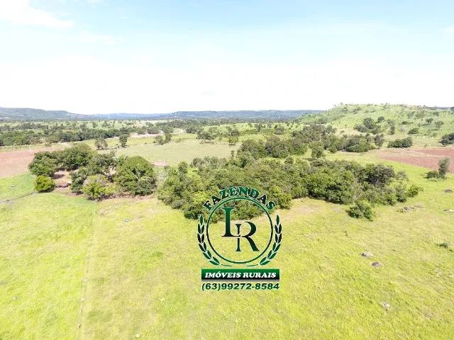 Fazenda 23 Alqueires Beira Asfalto - Foto 5