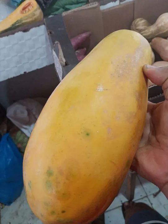 Macaxeira fresquinha ..sacolão...cara roxo  - Foto 4