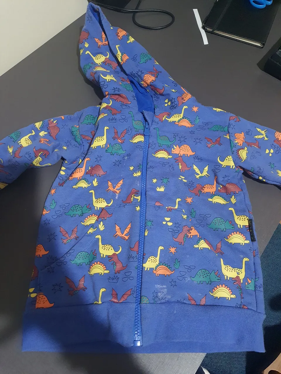 Casaco de Moletom Infantil com Dinossauros. Tamanho 4