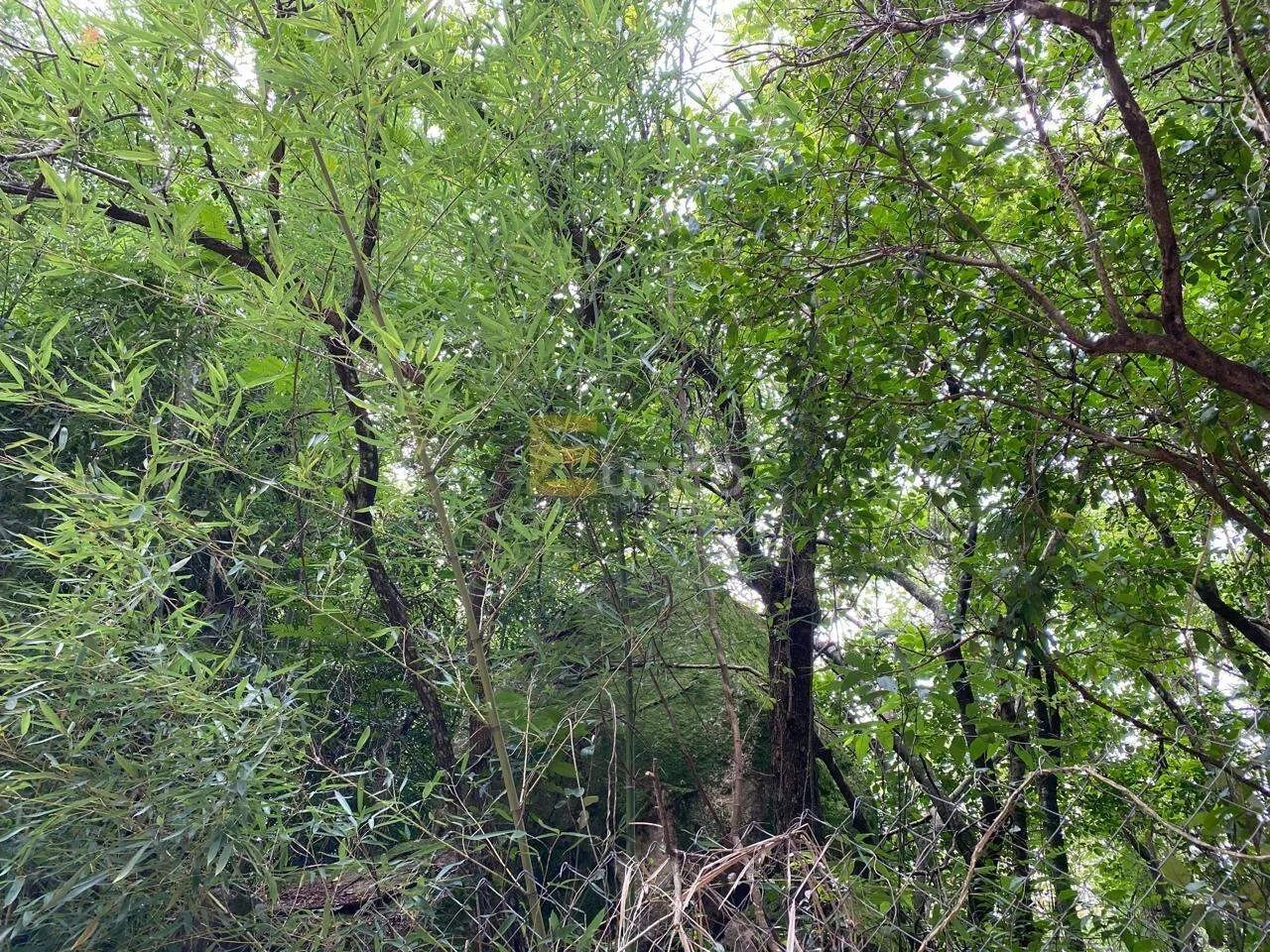 Terreno a venda no Condomínio Vale de Santa fé - Vinhedo - Foto 7