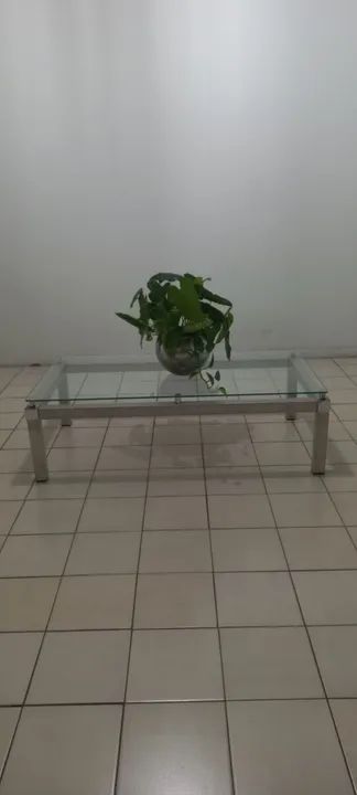 Coffee Table64842836545538122