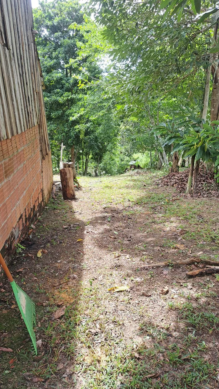 Sítio com casa e área verde