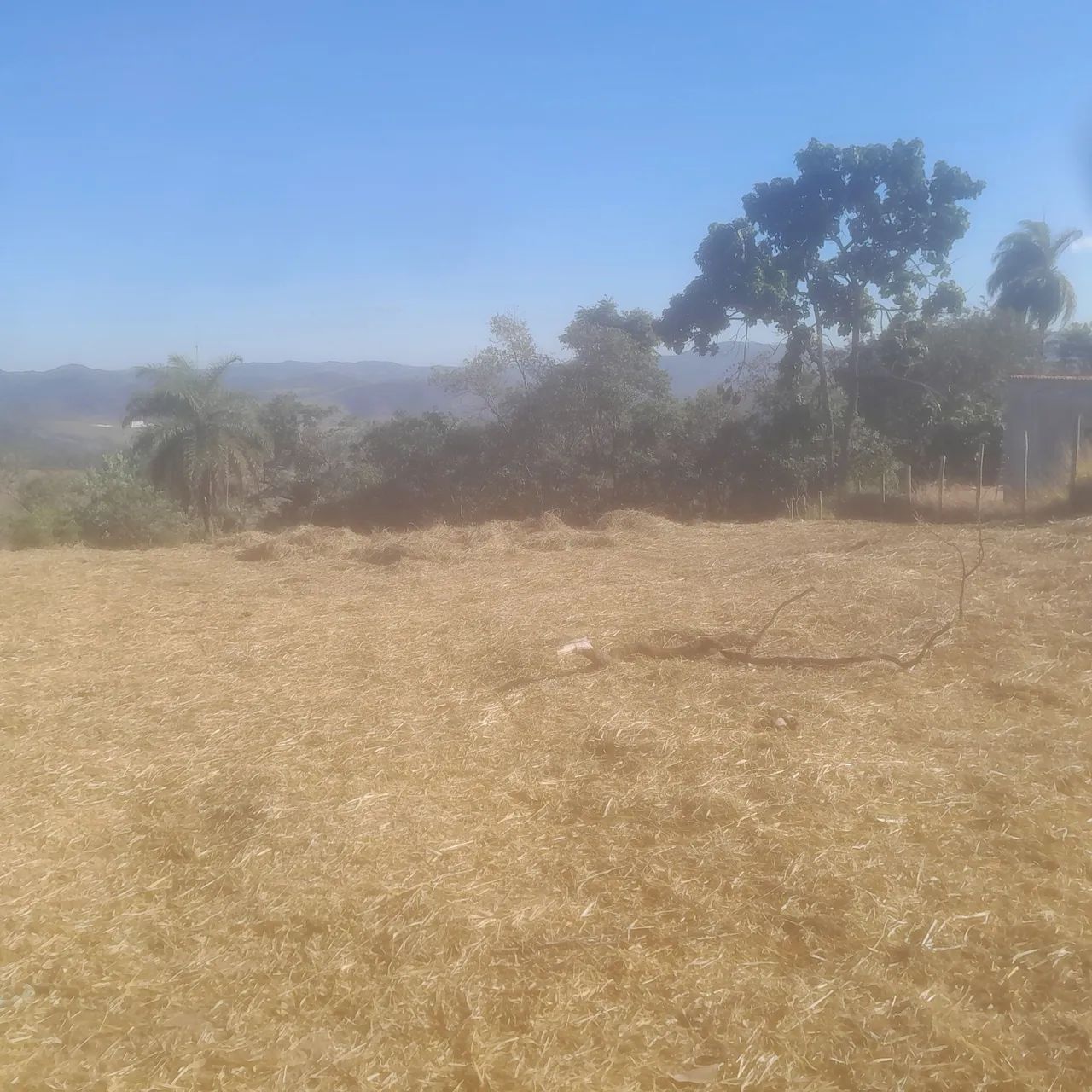 Terreno de 5 mil metros 