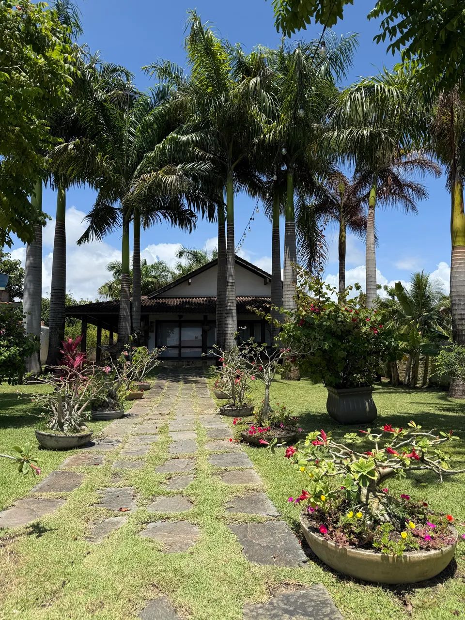 Foto - Ipojuca - Enseadinha