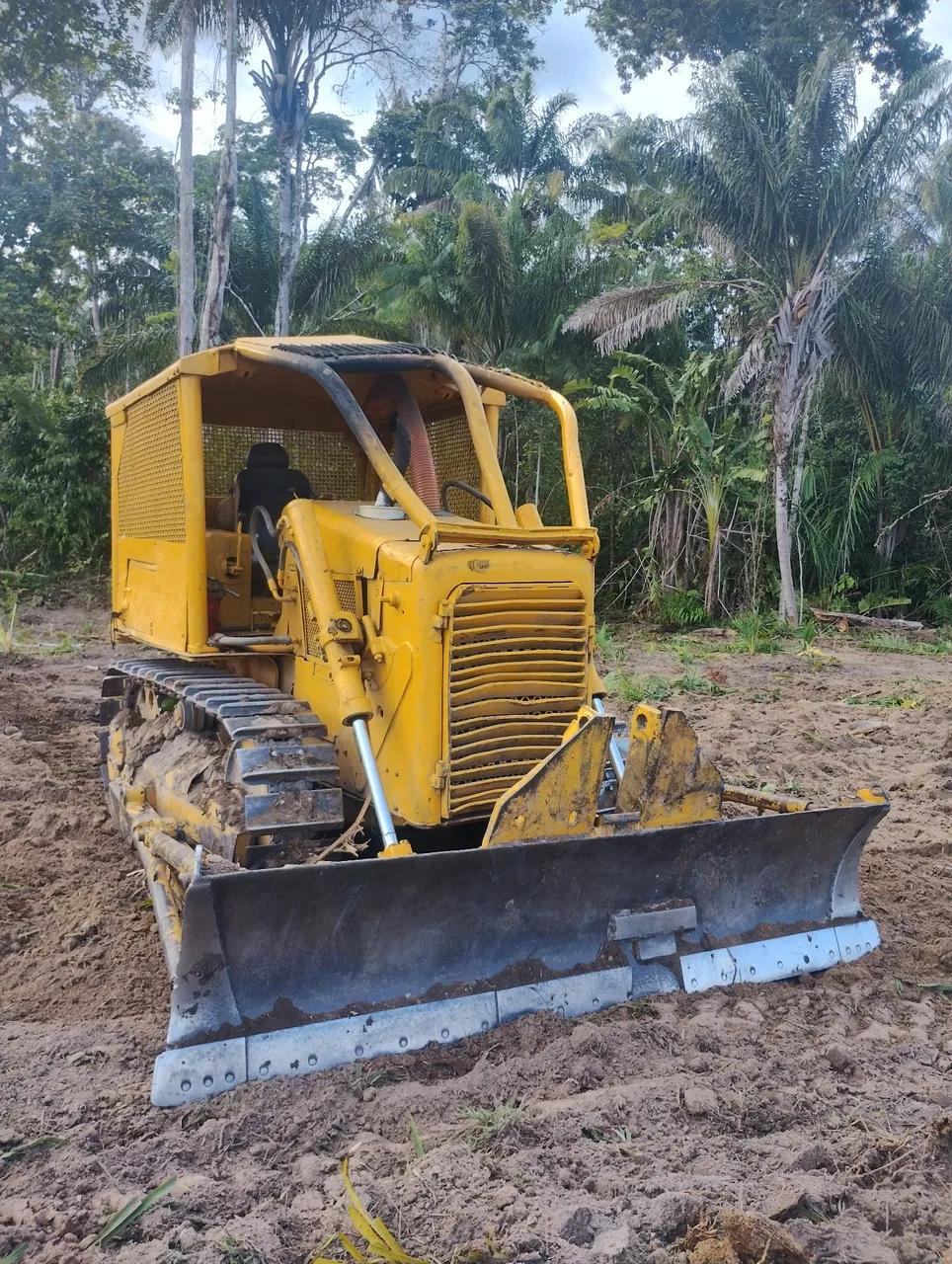 Trator de Esteira D4 