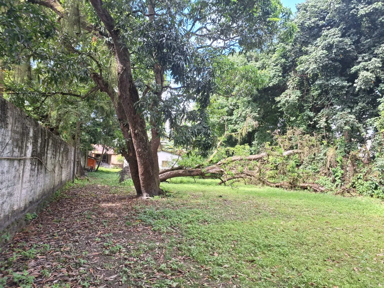 Galpão/Depósito/Armazém para venda com 300 metros quadrados com 8 quartos em Tejipió - Rec