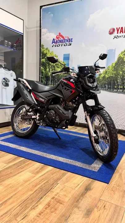 Maria Silva XTZ Crosser Z 150 - Foto 3