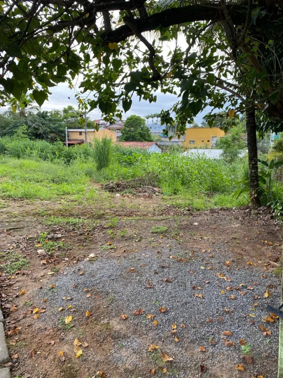 Lote Particular em Meaípe - 500m2 - Foto 3
