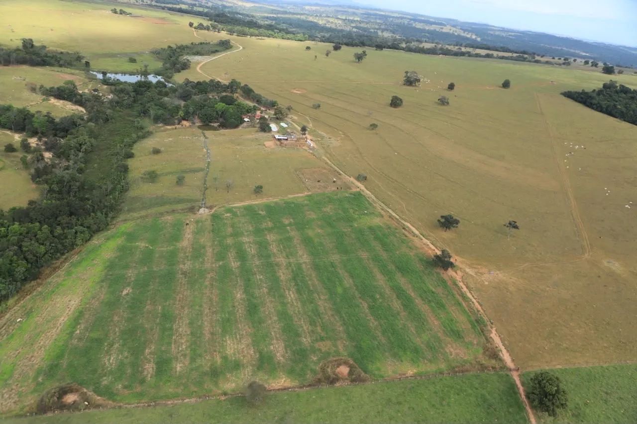 Fazenda de 21 alq em São Francisco-Go  - Foto 2