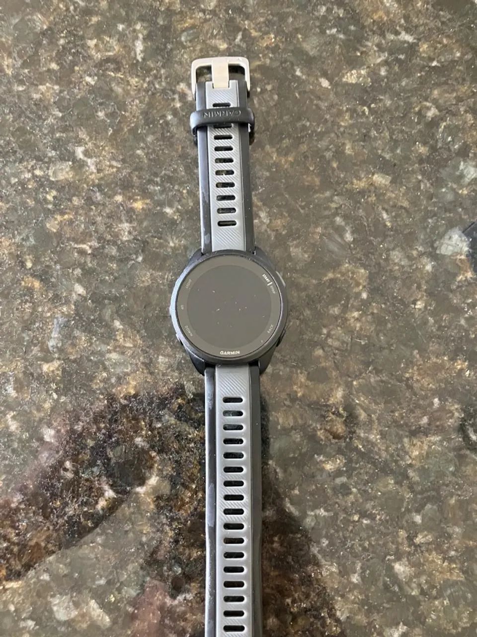 Garmin 165 